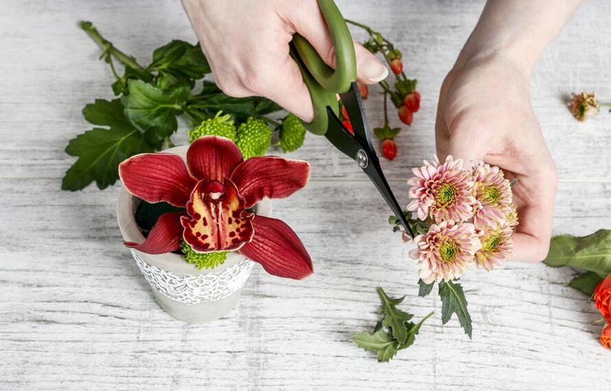 1583826971304398.jpg 22.jpg