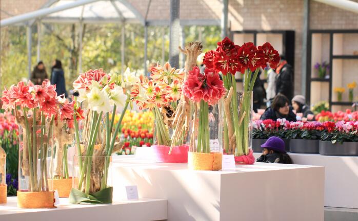 1584942677329283.jpg QQ截圖20200323135056.jpg