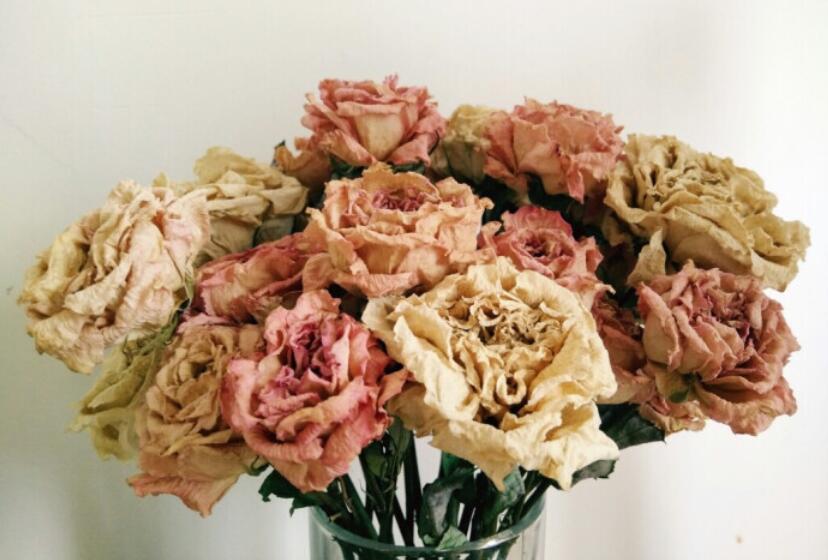 1621069156918332.jpg QQ截圖20210515165858.jpg