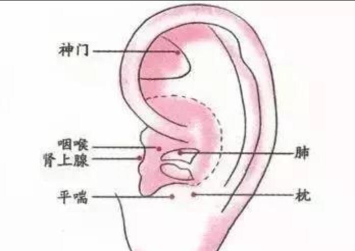 如何正確艾灸耳朵？南寧美容學(xué)校幫你整理教程