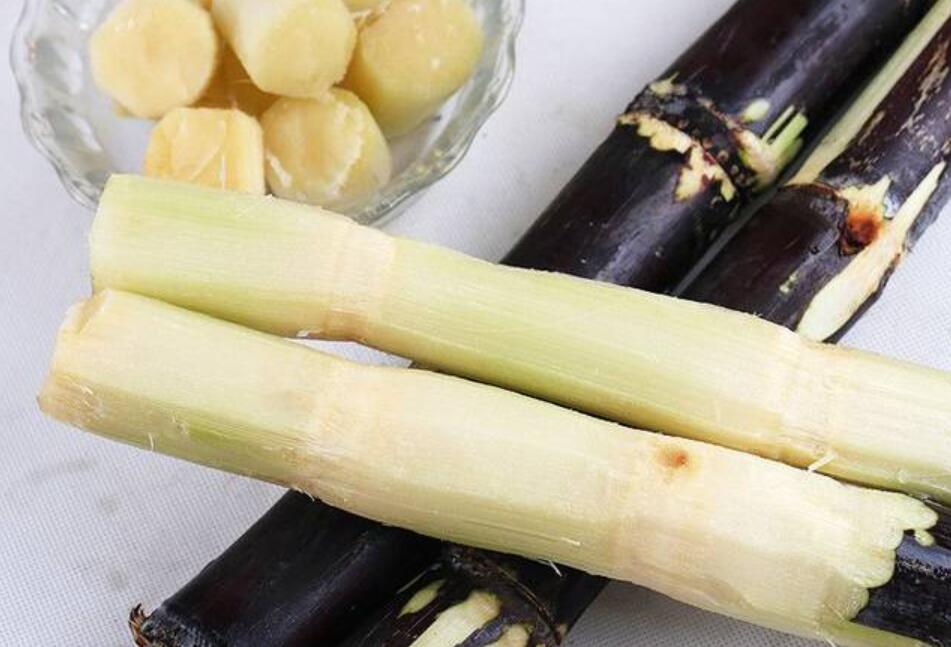 秋冬適合吃什么？南寧教美容養(yǎng)生的學(xué)校分享給你