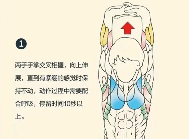 南寧美容師培訓(xùn)要學(xué)什么？背部護(hù)理就是其中一項(xiàng)