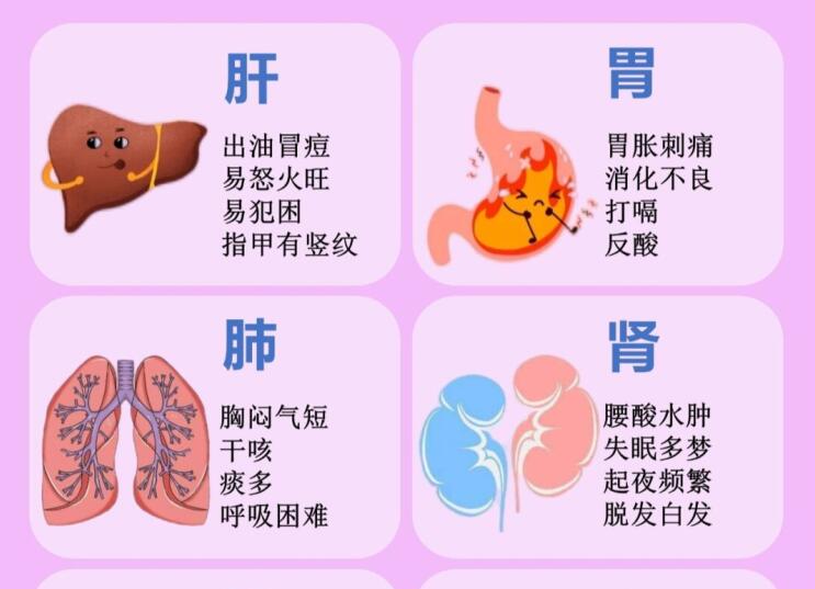 6大臟器保養(yǎng)指南，6款養(yǎng)生茶喝起來(lái) ???