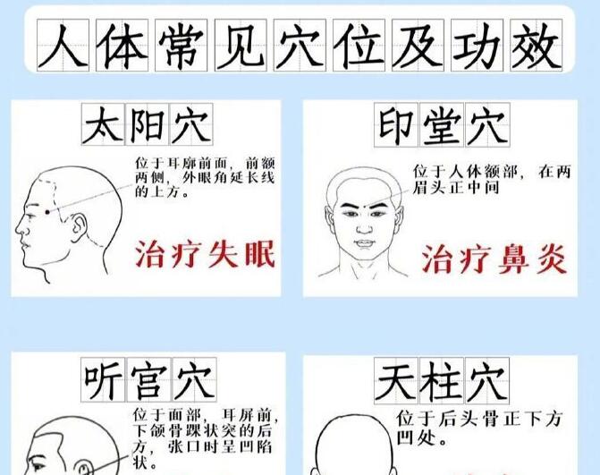 人體常見(jiàn)穴 位及功效，廣西專業(yè)正規(guī)美容學(xué)校講解