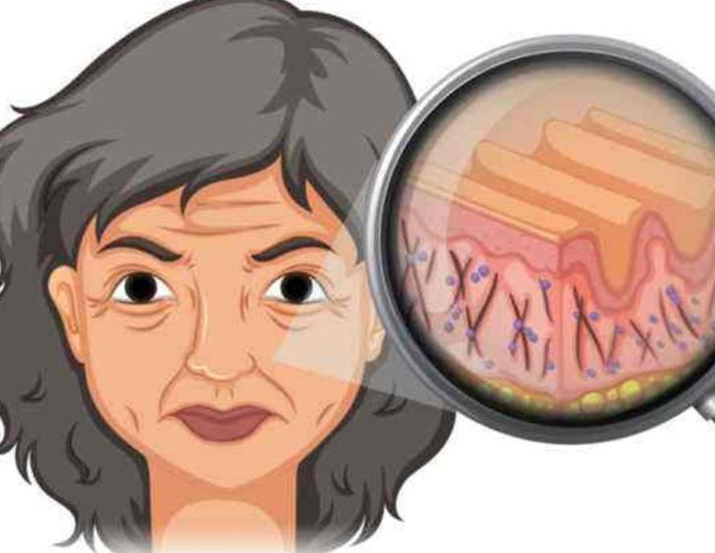 女性如何延緩衰老？南寧皮膚管理培訓(xùn)班講解