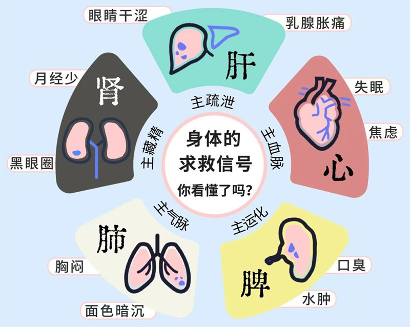 南寧專(zhuān)業(yè)美容管理學(xué)校：五臟六腑如何管理？