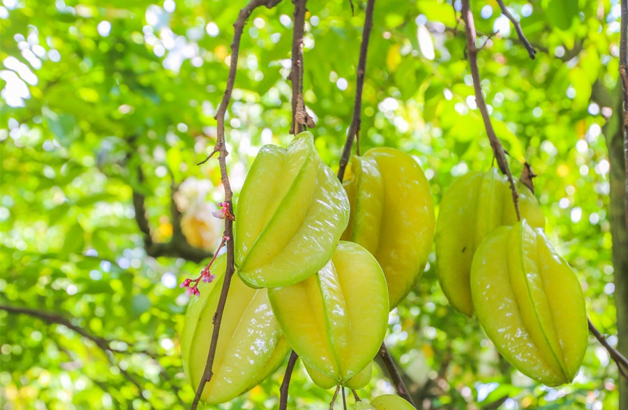 廣西美容護膚養(yǎng)顏班：春天吃什么水果好？