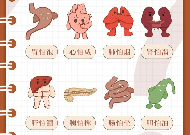 如何進行健康管理？廣西美容美體管理學校做法分享