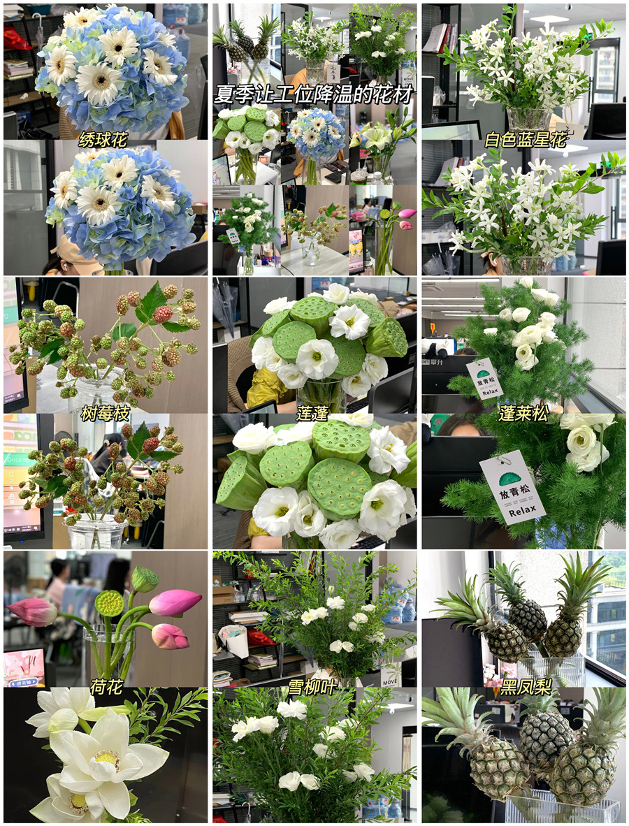 1690206316760989.jpg 900.jpg