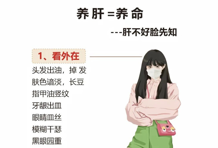 南寧學(xué)健康美容：如何正確養(yǎng)肝？