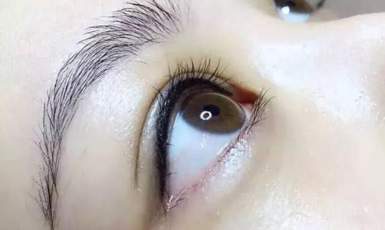 1709964259572820.jpg QQ截圖20240309140334.jpg