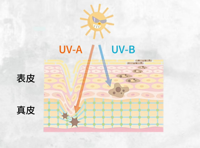 物理防曬和化學(xué)防曬怎么選？廣西皮膚管理美容
